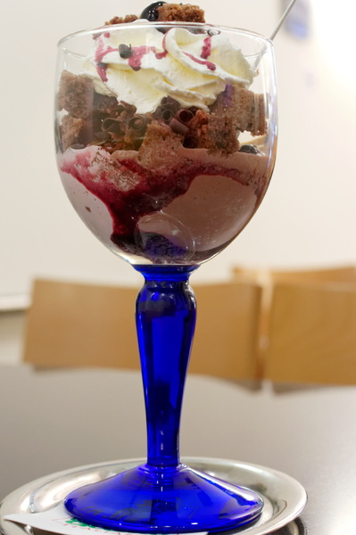 DSC0866.jpg
