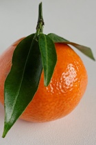 mandarijntje