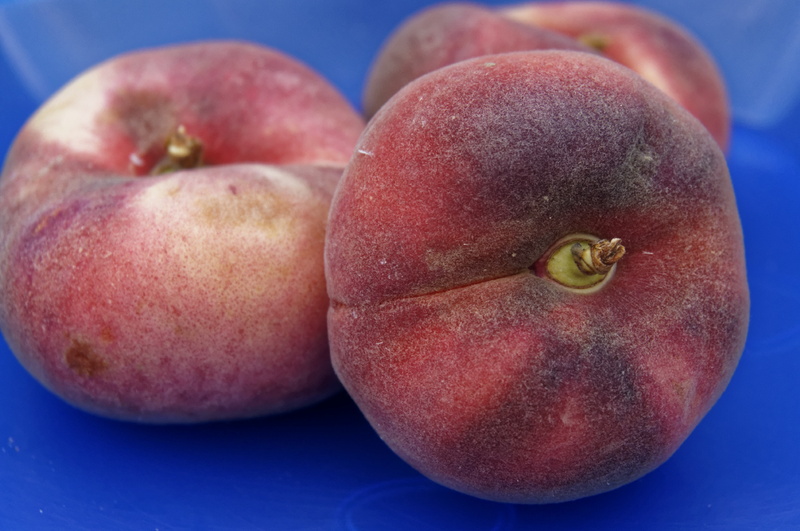 peaches