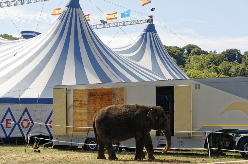 circus