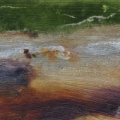 rust