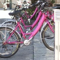wittefietsenplan in roze