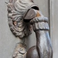 DSC5399