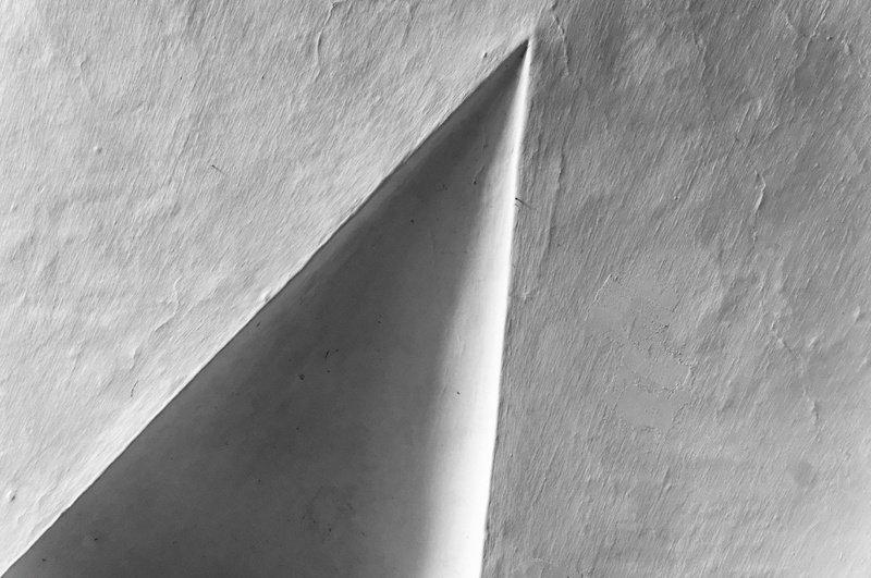 DSC5155