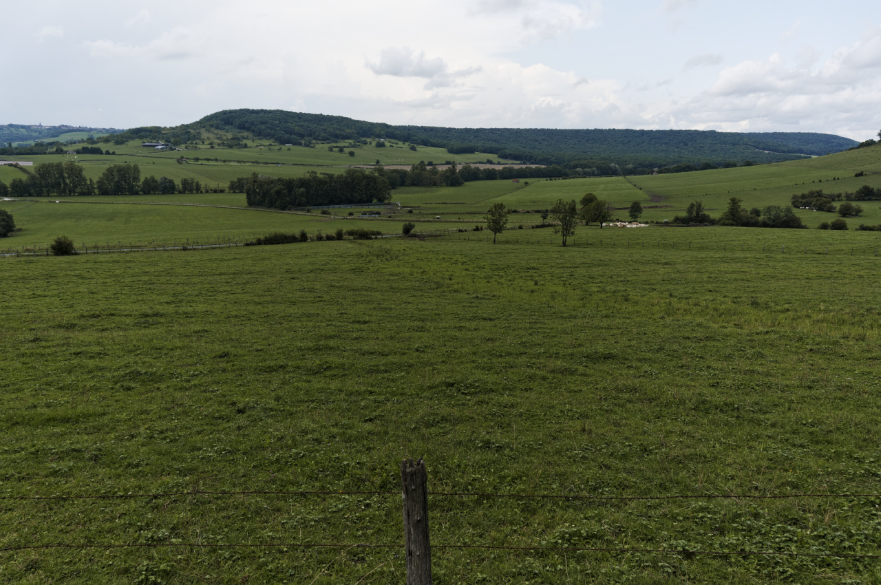 champagne-ardenne