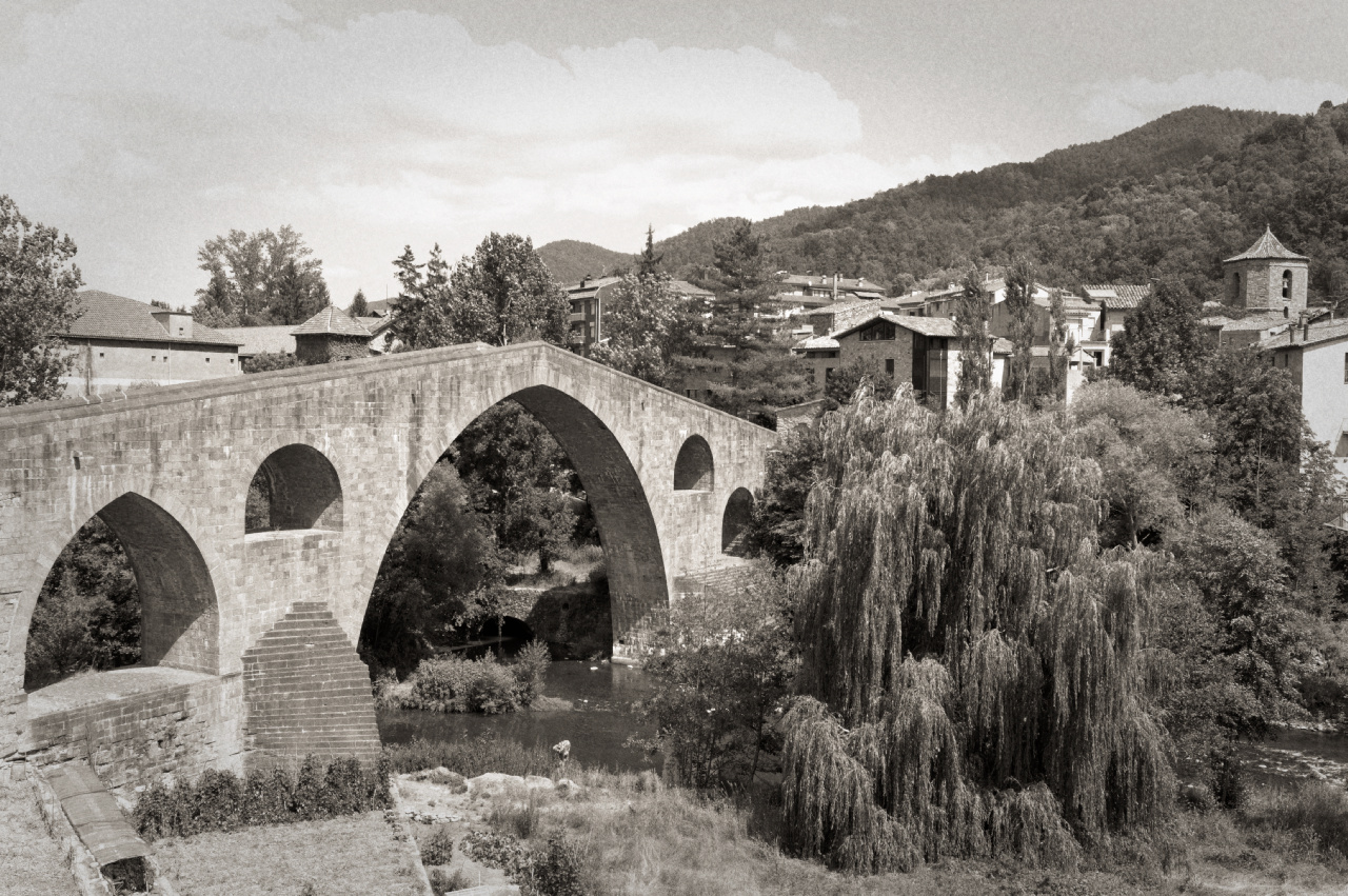 sant joan de les abadesses