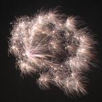 fireworks, Rijswijk, Holland