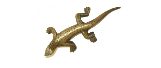brass salamander