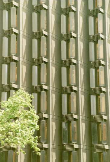 tree and building in Barcelona